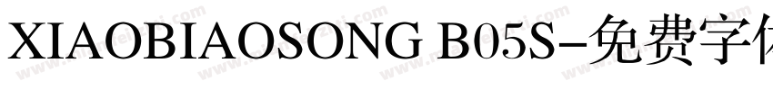 XIAOBIAOSONG B05S字体转换